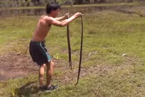 Độc đáo dùng rắn dụ thỏ sập bẫy