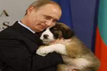 Tổng thống Nga Putin và tình yêu dành cho động vật