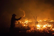 Xúc động cảnh lính cứu hỏa liều mình cứu rừng Amazon