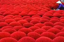 Các nước tất bật đón Tết, khoảnh khắc ở Việt Nam đẹp nao lòng