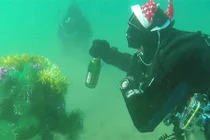 Màn chào năm mới 2015 dị nhất hành tinh