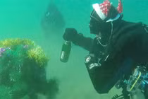 Màn chào năm mới 2015 dị nhất hành tinh