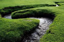 Choáng: Con sông hẹp nhất thế giới, chiều rộng vỏn vẹn 4cm 