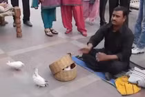 Ảo thuật gia “niệm chú” biến không khí thành bồ câu