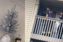 Phát hiện bí mật động trời nhờ vị trí lạ của cây thông Noel