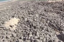  Nhật Bản: Xuất hiện lượng lớn "vật thể lạ" trôi dạt vào bờ biển 