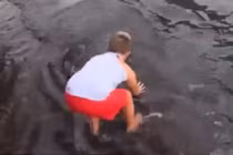 Bé trai thản nhiên chơi đùa với cá đuối trước biển