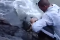 Thán phục chàng béo câu được cá khủng bên bờ suối