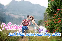 Mê mệt những tình khúc mùa xuân hay nhất 