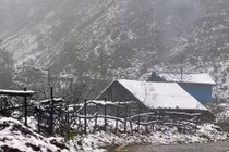 Ngắm cảnh tuyết rơi trắng trời tuyệt đẹp ở Sapa