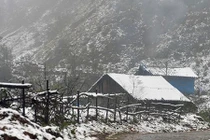 Ngắm cảnh tuyết rơi trắng trời tuyệt đẹp ở Sapa