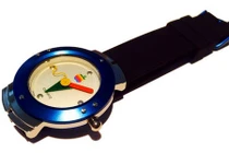 Chiêm ngưỡng chiếc đồng hồ được "nuôi" 20 năm của Apple