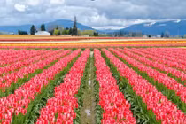 Choáng ngợp những cảnh đẹp tựa chốn thiên đường ở nước Mỹ