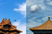 Mãn nhãn khoảnh khắc Tử Cấm Thành đẹp mơ màng trong ngày lập thu