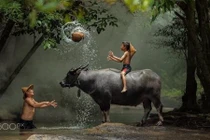 Soi cuộc sống bình dị ở nông thôn các nước trên thế giới