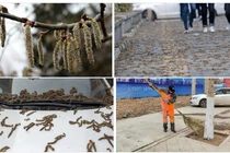 “Mưa sâu” ở Trung Quốc khiến nhiều người kinh hãi 