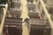 Xem trộm trèo tường trốn cảnh sát như người nhện 