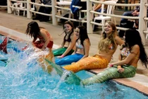 Ngỡ ngàng nàng tiên cá tung tăng bơi lội ngoài đời thực