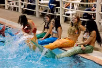 Ngỡ ngàng nàng tiên cá tung tăng bơi lội ngoài đời thực