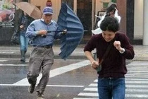 Bão lớn lại đổ bộ, tàn phá Nhật Bản