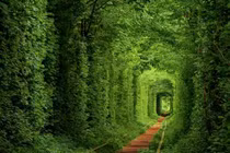 Khung cảnh đẹp như tranh vẽ tại đường hầm tình yêu ở Ukraine