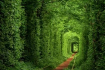 Khung cảnh đẹp như tranh vẽ tại đường hầm tình yêu ở Ukraine