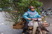 Người Việt chở đồ cồng kềnh bằng xe máy lên báo Anh