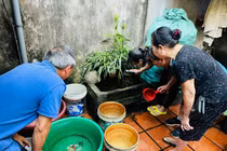 Đề xuất tiêm miễn phí vắc-xin phòng sốt xuất huyết