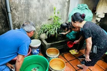 Đề xuất tiêm miễn phí vắc-xin phòng sốt xuất huyết