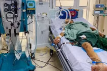 Người đàn ông ở Hà Nội nguy kịch sau giết mổ lợn