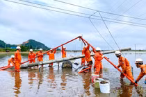 EVN ra công điện về triển khai ứng phó cơn bão số 10