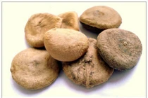 Người đàn ông ở Hà Nội cấp cứu vì ngộ độc cao mã tiền