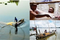 Con sông ngắn nhất Việt Nam là thủy phận của loài ‘quái ngư’ quý hiếm