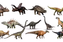 Có những sự thật “giả dối” nào về loài khủng long?