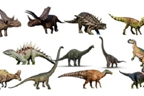 Có những sự thật “giả dối” nào về loài khủng long?