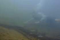 Phát hiện loài trăn Anaconda lớn nhất thế giới