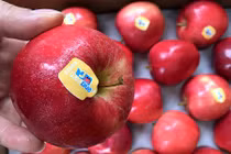 Đây là những loại trái cây nên ăn khi bụng đói