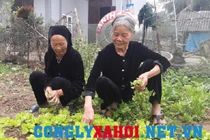 Chuyện cổ tích của hai người phụ nữ chung chồng suốt nửa thế kỷ