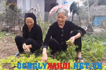 Chuyện cổ tích của hai người phụ nữ chung chồng suốt nửa thế kỷ