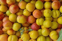 Việt Nam hết mùa, 4 loại mận Trung Quốc đang áp đảo toàn chợ