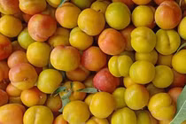 Việt Nam hết mùa, 4 loại mận Trung Quốc đang áp đảo toàn chợ