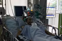 Ăn cá ngừ, cô gái ở Đồng Nam tổn thương phổi nặng suýt chết