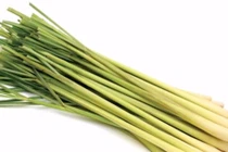 Video: Công dụng thần kì của cây sả