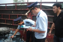 Hàng ngàn container phế liệu vô chủ gây ách tắc ở các cảng phía Nam