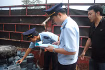 Hàng ngàn container phế liệu vô chủ gây ách tắc ở các cảng phía Nam