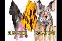 Video: Dự đoán “không trật 1 ly” độ tuổi thành công của 12 con giáp