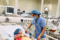 Hòa Bình: Ăn thịt cóc tự làm, chị 11 tuổi tử vong, em nguy kịch