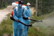 4 ca tử vong vì sốt xuất huyết cảnh báo nguy cơ bùng phát dịch