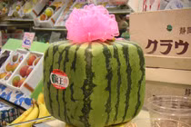 Đại gia Hà Nội dốc tiền mua dưa hấu vuông Nhật Bản độc lạ