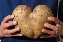 Video: 5 công dụng thần kỳ của khoai tây